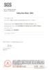 China Dongguan Youngteam New Material Technology Co., Ltd. certificaten